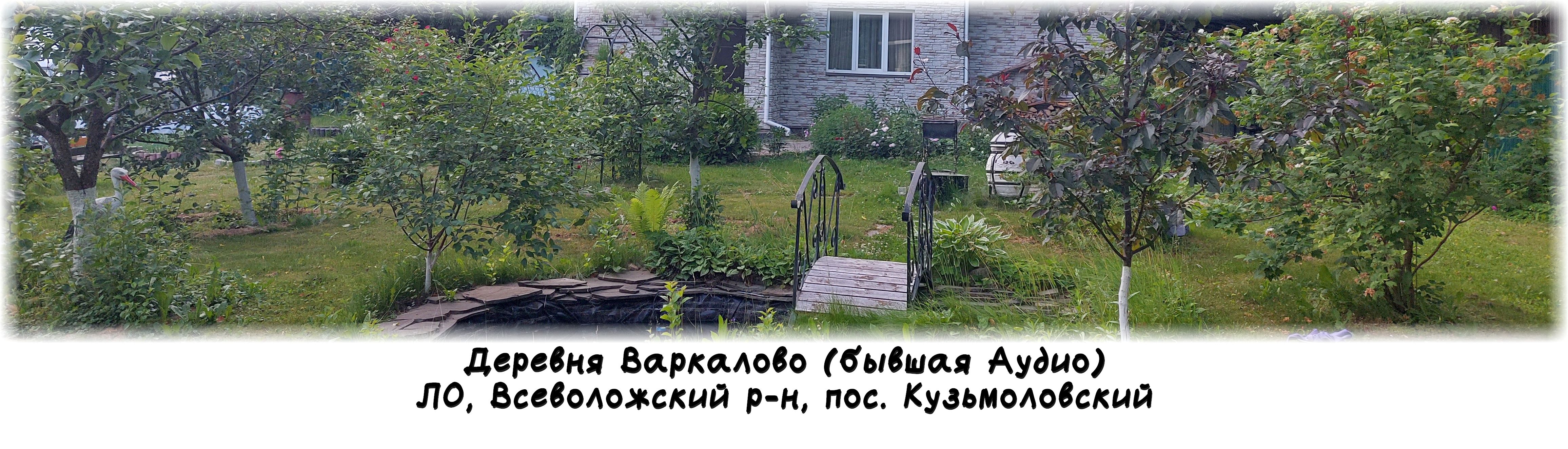 Деревня Варкалово, Всеволожский район, поселок Кузьмоловский